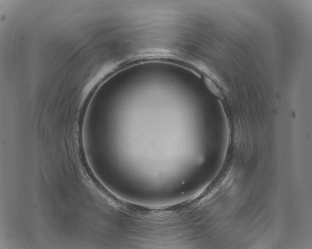 X0000074941325200609011106