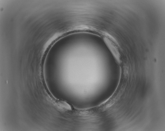 X0000074941326200609011106