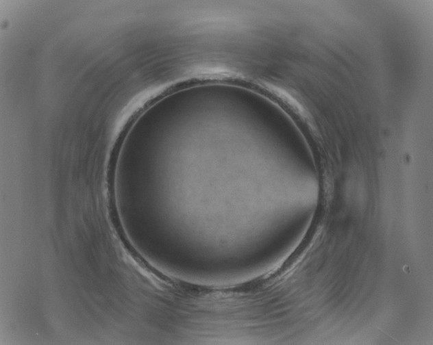 X0000074941327200609011106