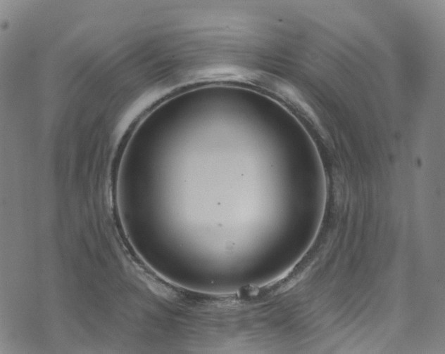 X0000074941328200609011106