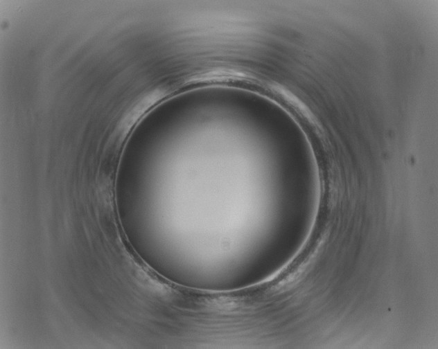 X0000074941329200609011106