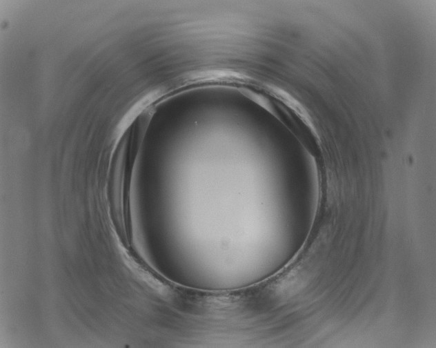 X0000074941330200609011106