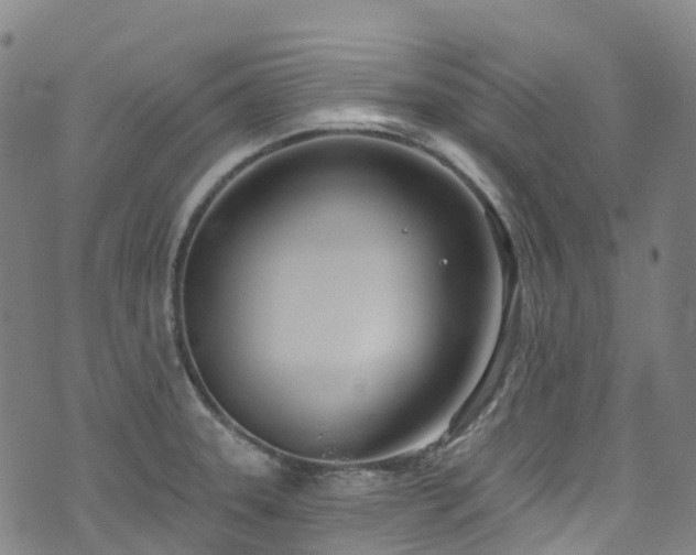 X0000074941331200609011106