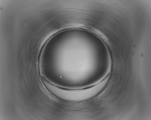 X0000074941332200609011106