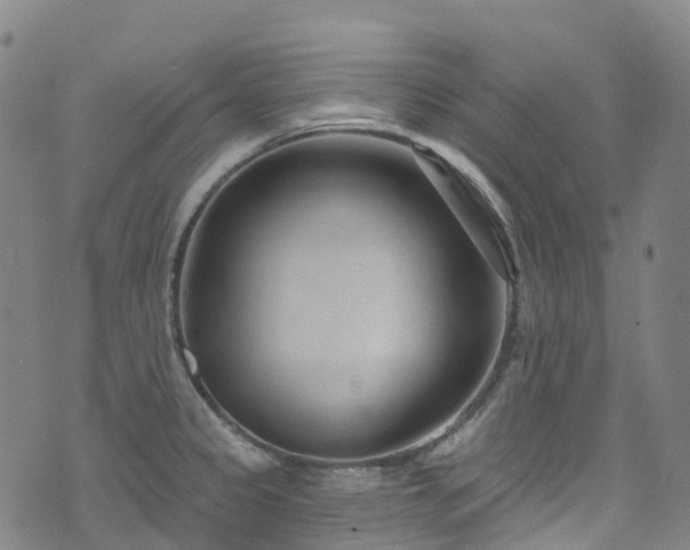 X0000074941333200609011106