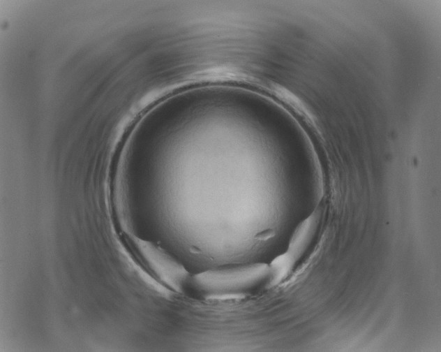 X0000074941334200609011106