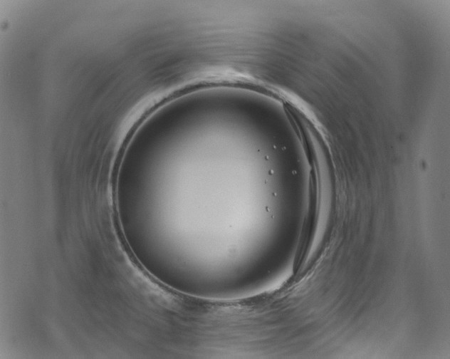 X0000074941335200609011106