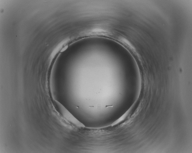 X0000074941336200609011106