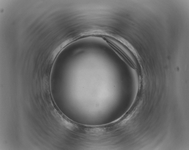 X0000074941337200609011106