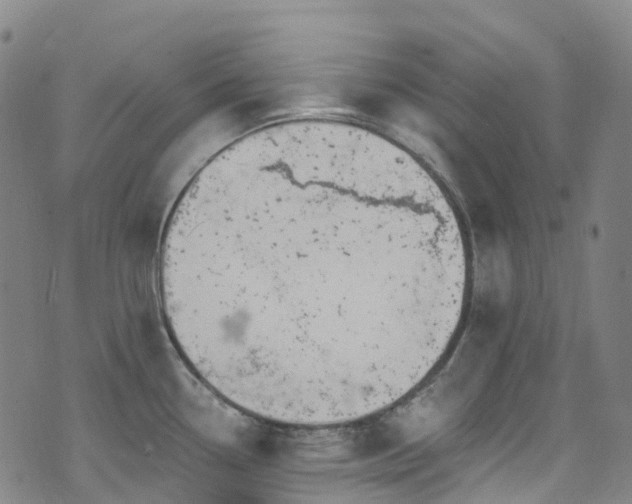 X0000074941338200609011106