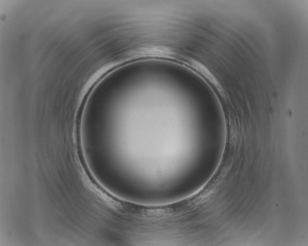 X0000074941339200609011106