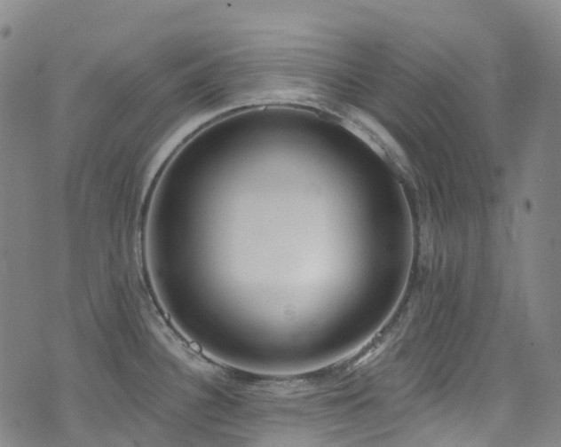 X0000074941340200609011106