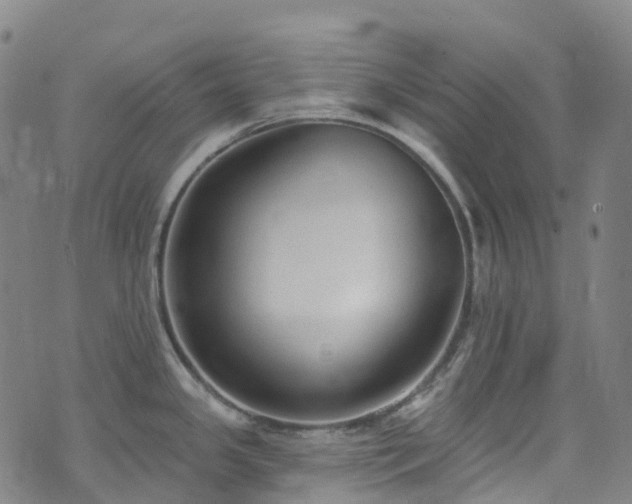 X0000074941341200609011106