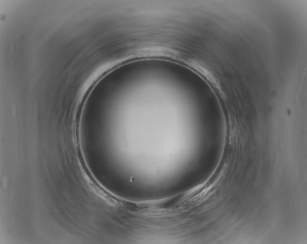 X0000074941342200609011106