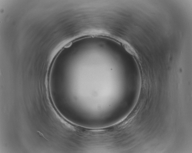 X0000074941343200609011106