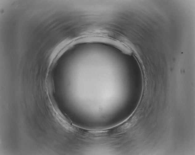 X0000074941344200609011106