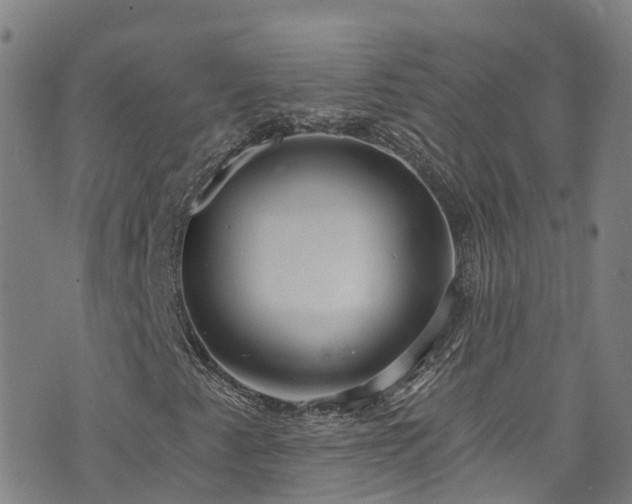 X0000074941345200609011105