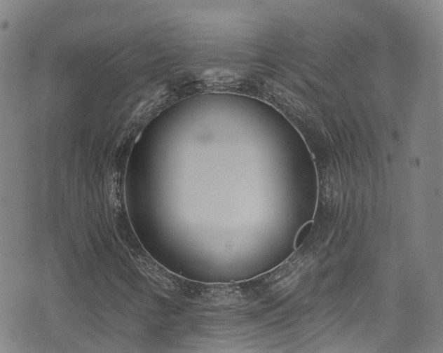 X0000074941346200609011105