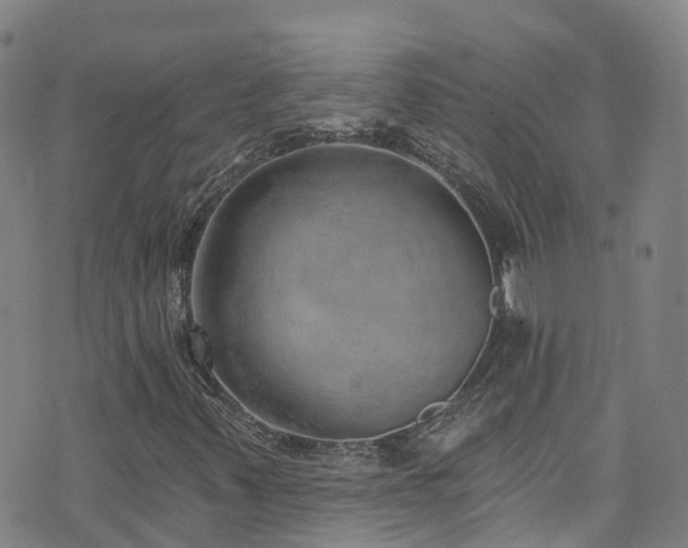 X0000074941347200609011105