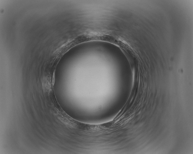 X0000074941348200609011105