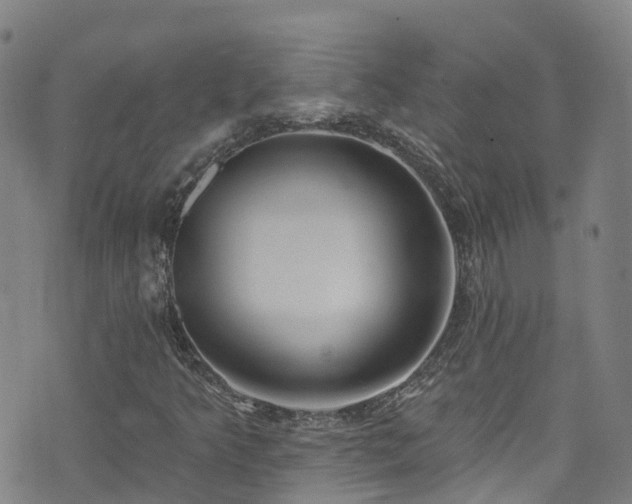 X0000074941349200609011105