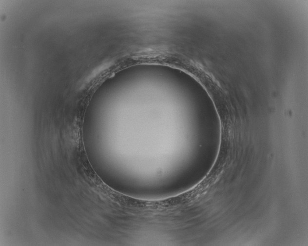 X0000074941350200609011105