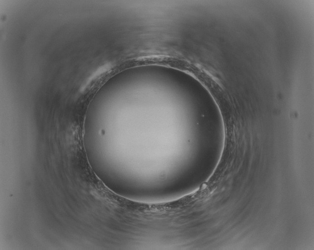 X0000074941351200609011105