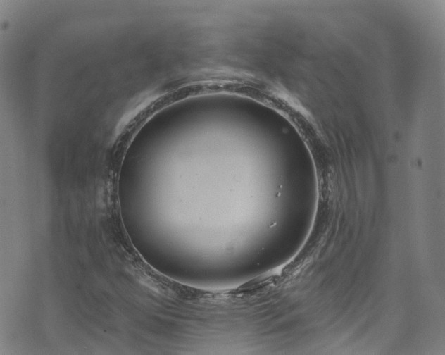 X0000074941352200609011105