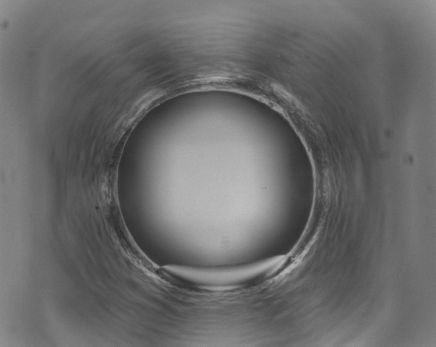 X0000074941353200609011105