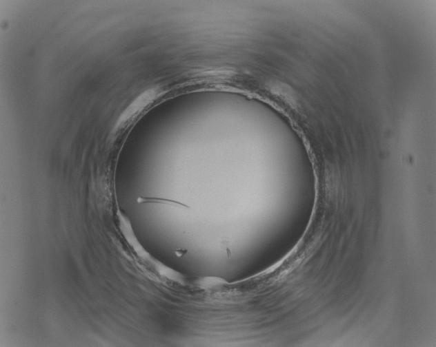 X0000074941354200609011105