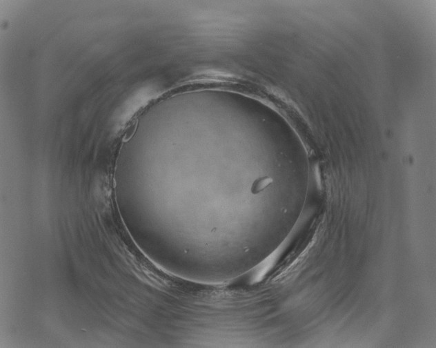 X0000074941355200609011105