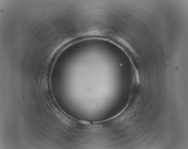 X0000074941356200609011105