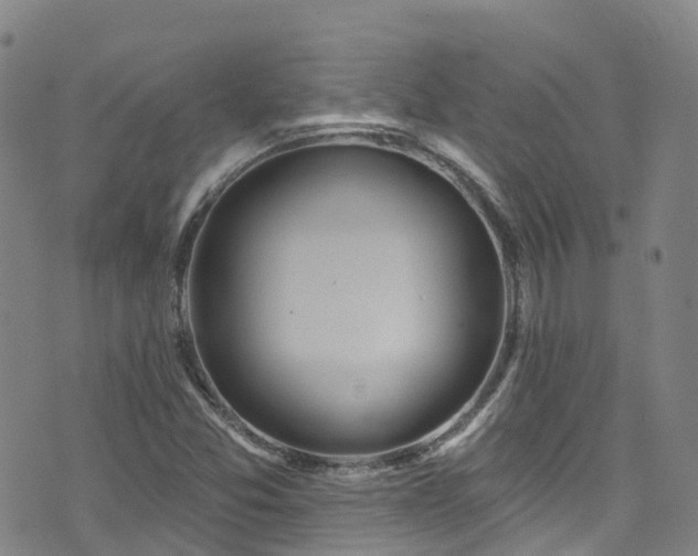 X0000074941357200609011105