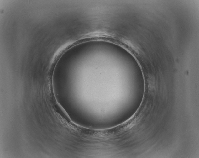 X0000074941358200609011105