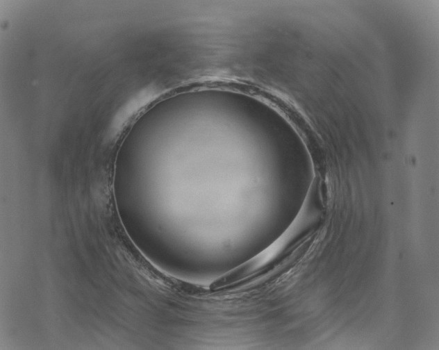 X0000074941359200609011105