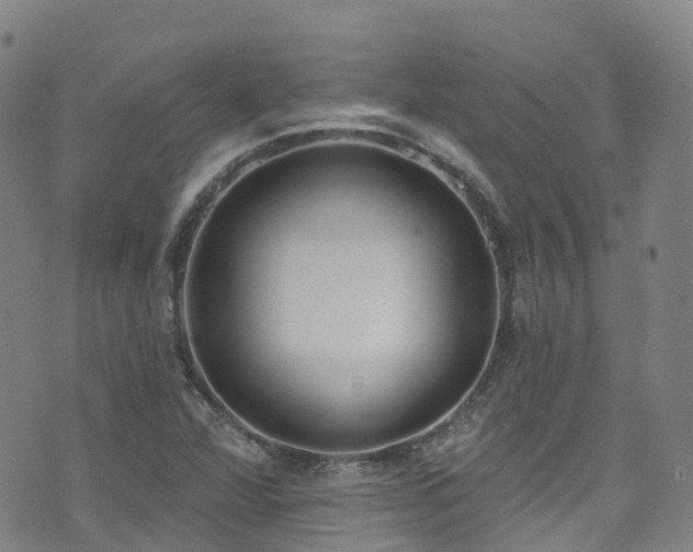 X0000074941360200609011105