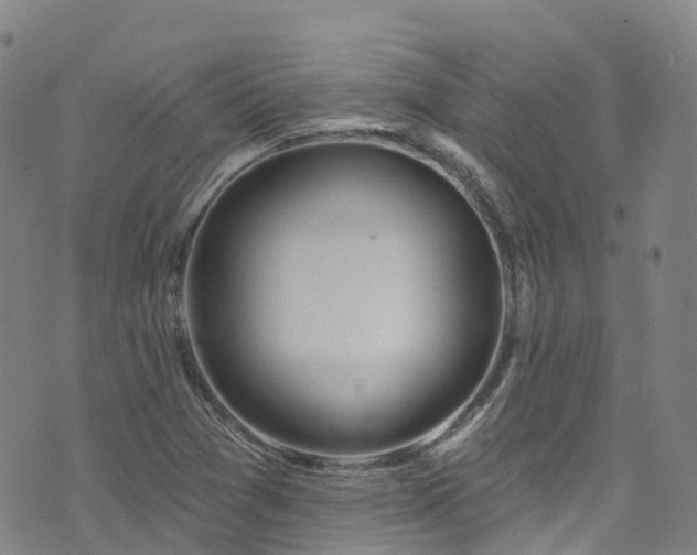 X0000074941361200609011105