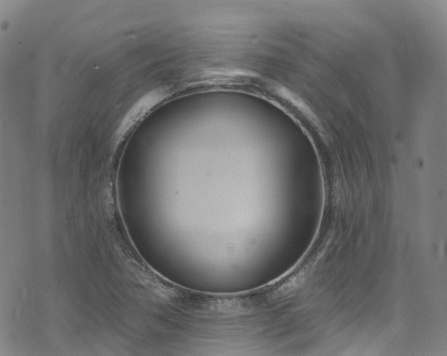 X0000074941362200609011105