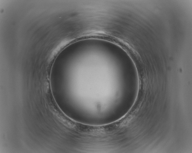 X0000074941363200609011105