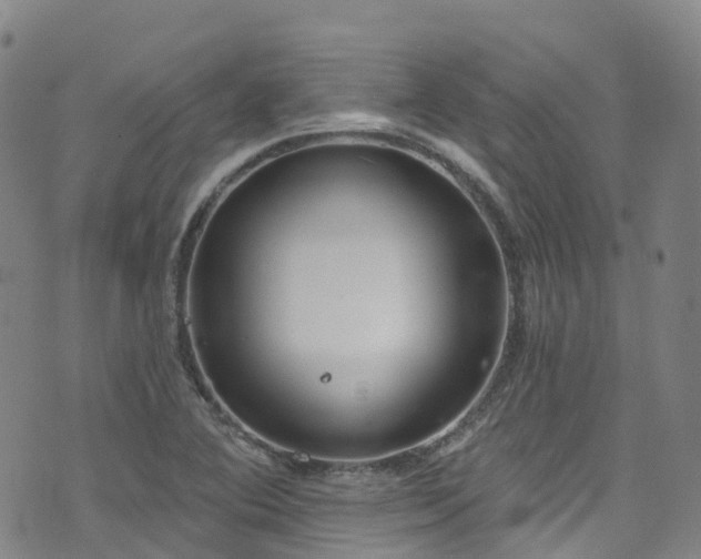 X0000074941364200609011105