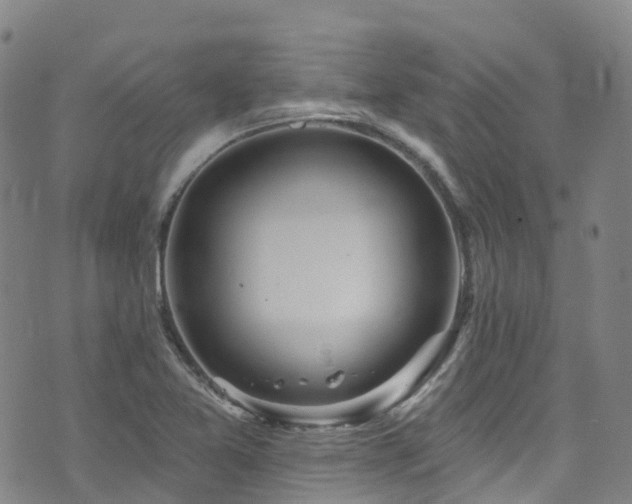 X0000074941365200609011105