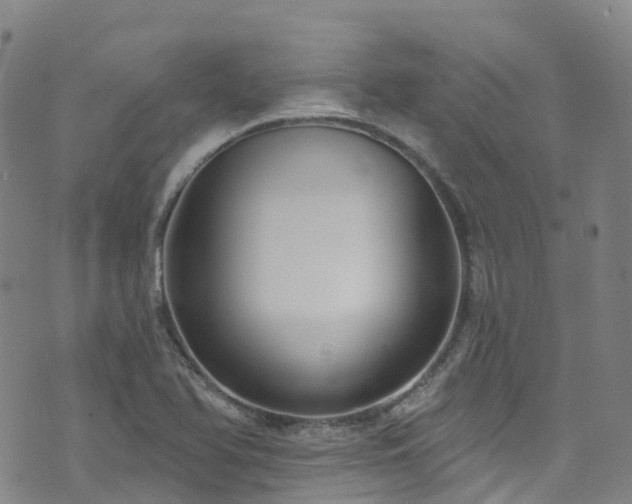 X0000074941366200609011105