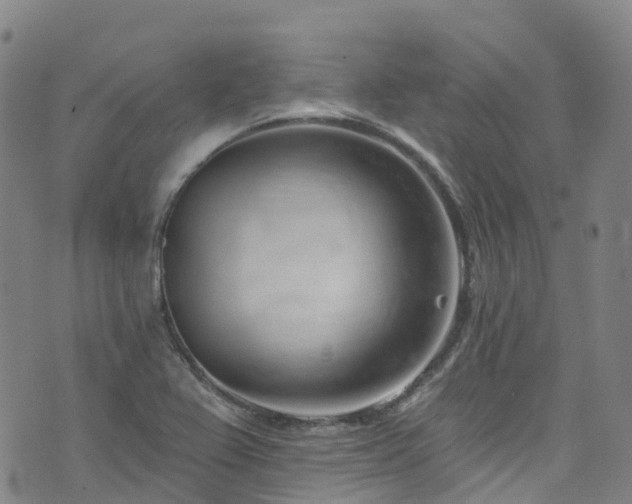 X0000074941367200609011105