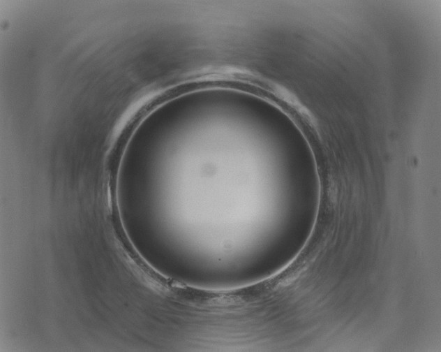 X0000074941368200609011105