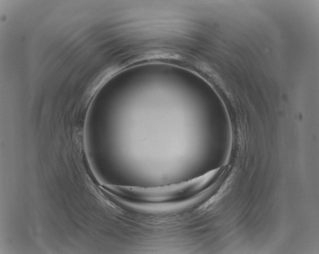 X0000074941369200609011105