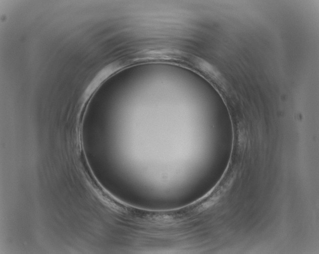 X0000074941370200609011105