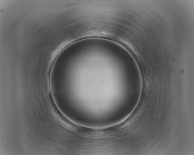 X0000074941371200609011105