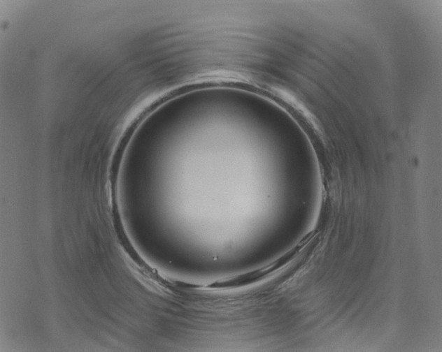 X0000074941372200609011105