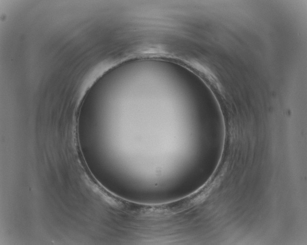 X0000074941374200609011105