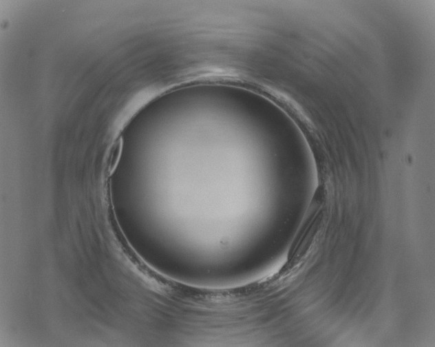 X0000074941375200609011105